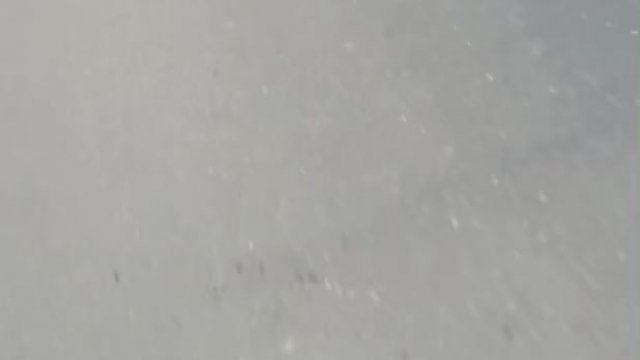 No work means puppy boy gets a morning walk and I get a morning ride!