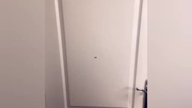 Pizza Delivery (Vid+Photo)