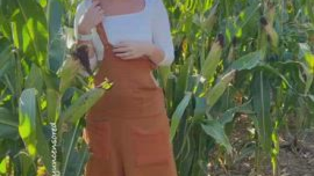 Teasing you in the corn maze