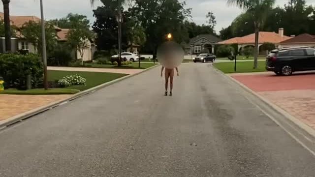 Just Out For A Naked Stroll And Got Caught Porn GIF by 2temptu