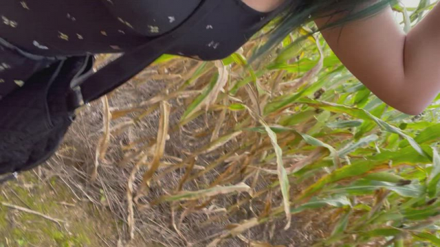 Nothing says October like public sex in a corn maze.