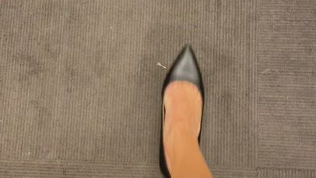 Puss n heels???? [GIF]