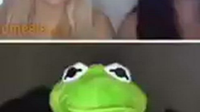 Cursed cam-guy Kermit