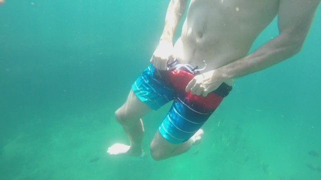 Do you think the other snorkelers noticed how long I can hold my breath? [GIF]