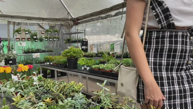 Practicing my subtle flash while plant shopping [GIF]