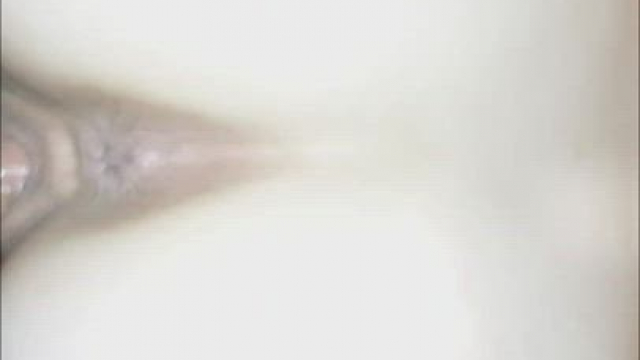 Asian Escort Wet Pussy